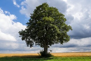 20130810_geislingen_094