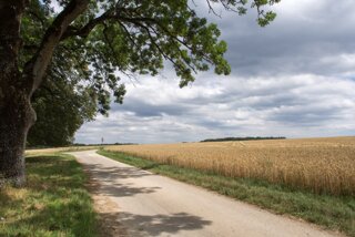 20130812_blaubeuren_063