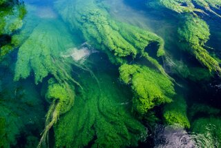 20130817_eselsburgertal_007