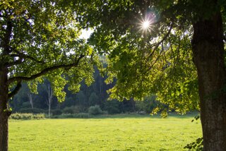 20130817_eselsburgertal_029