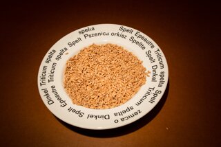 20130819_brotmuseum_006