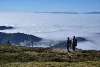 20241031234738-02-01