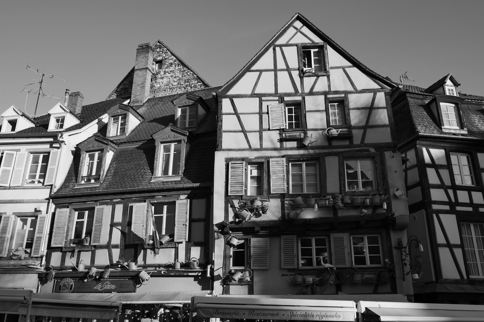 P1026833 