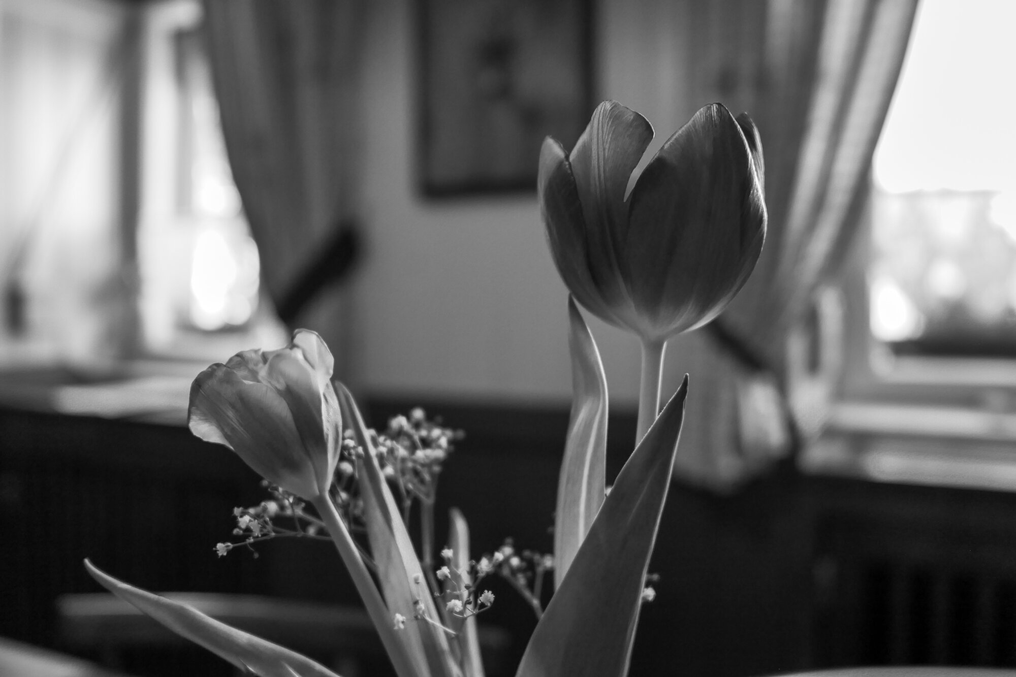P1026913 