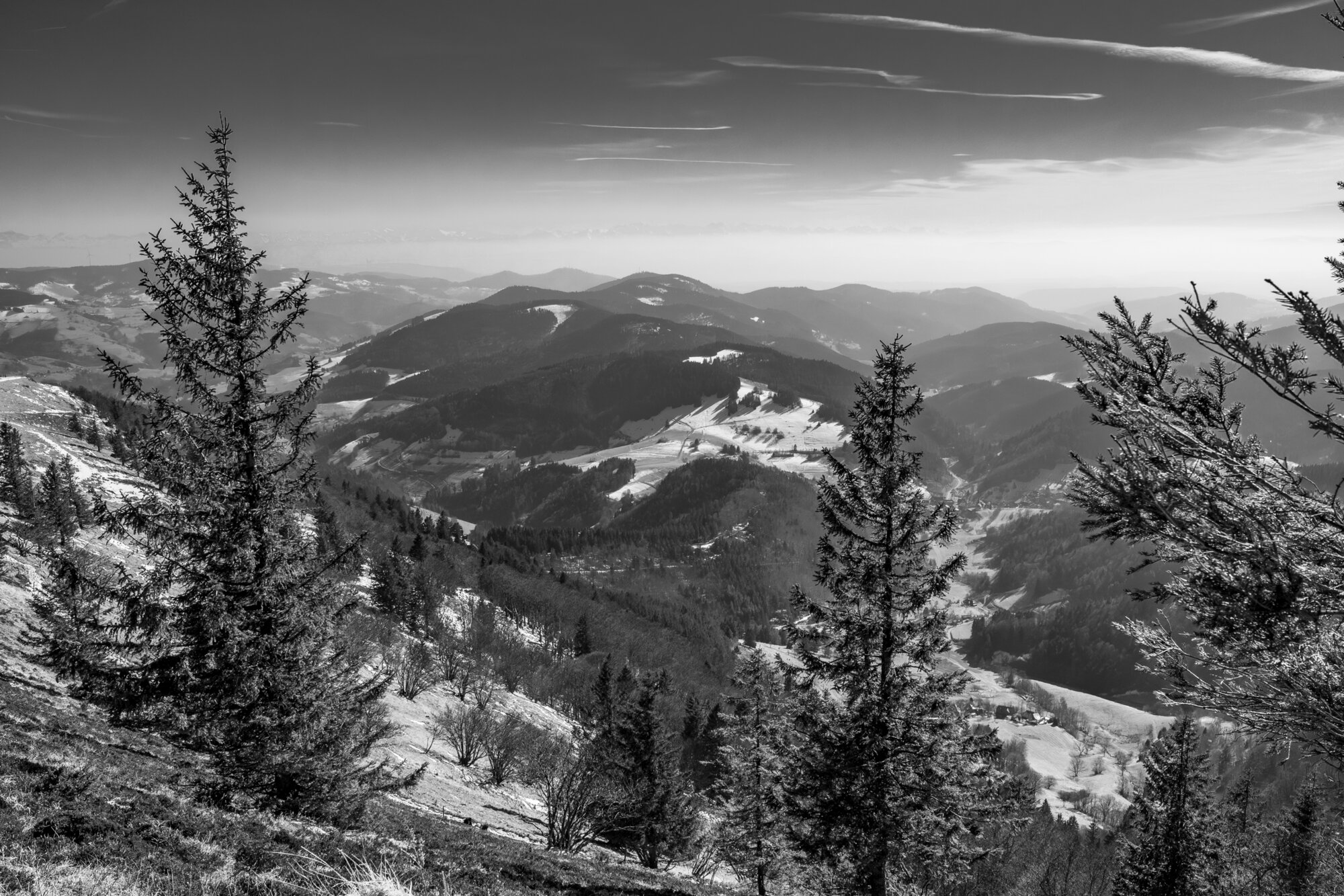 P1026934-Verbessert-RR 