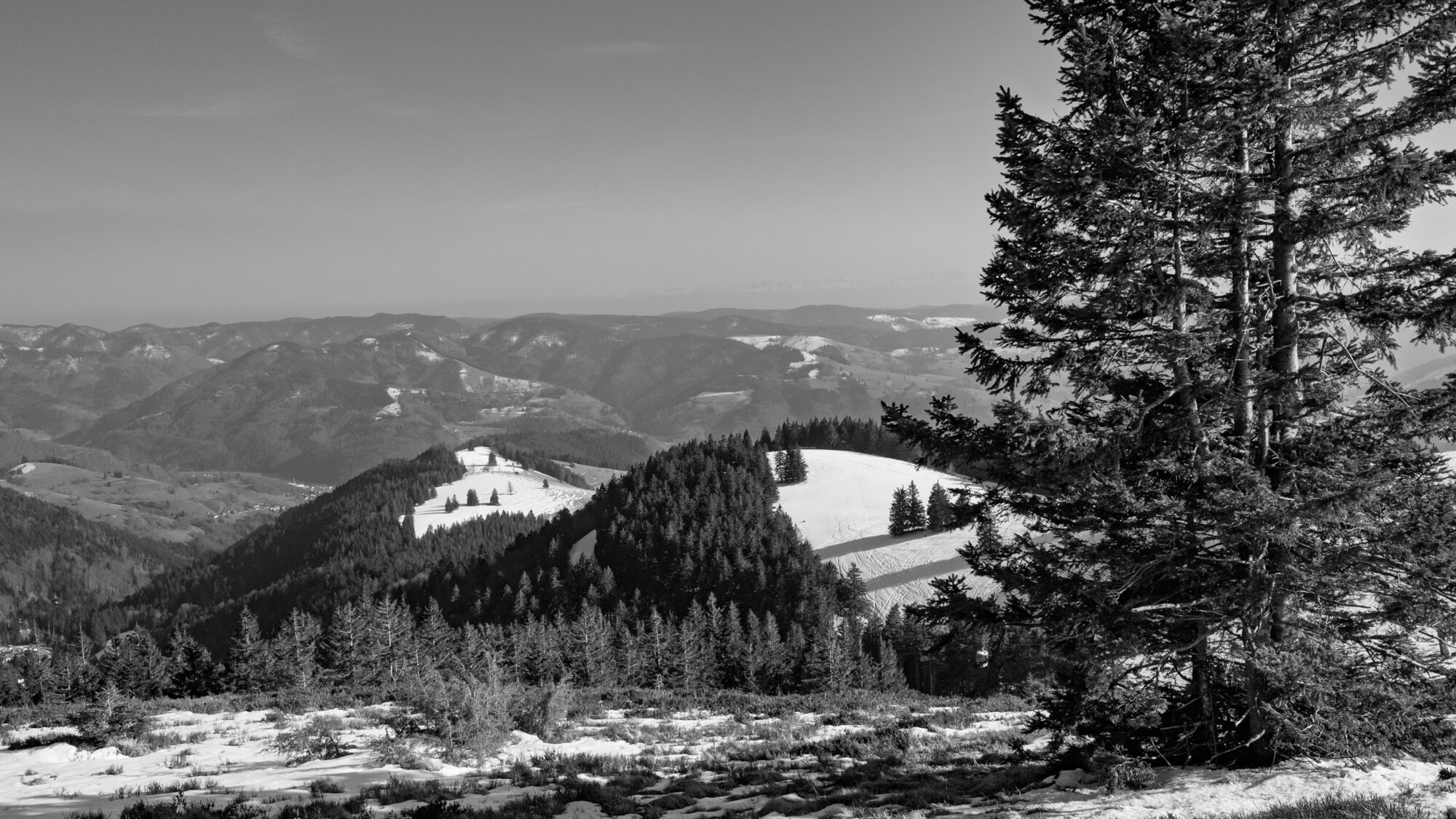 P1026945 