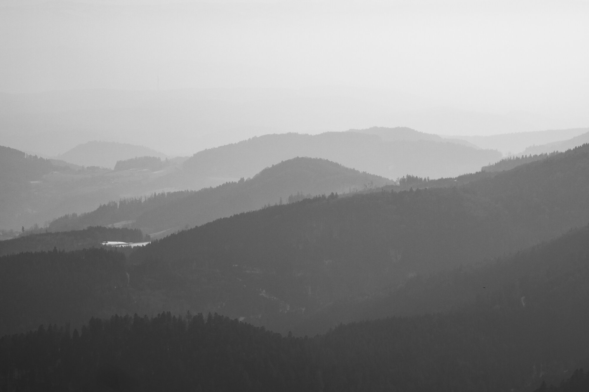 P1065463 