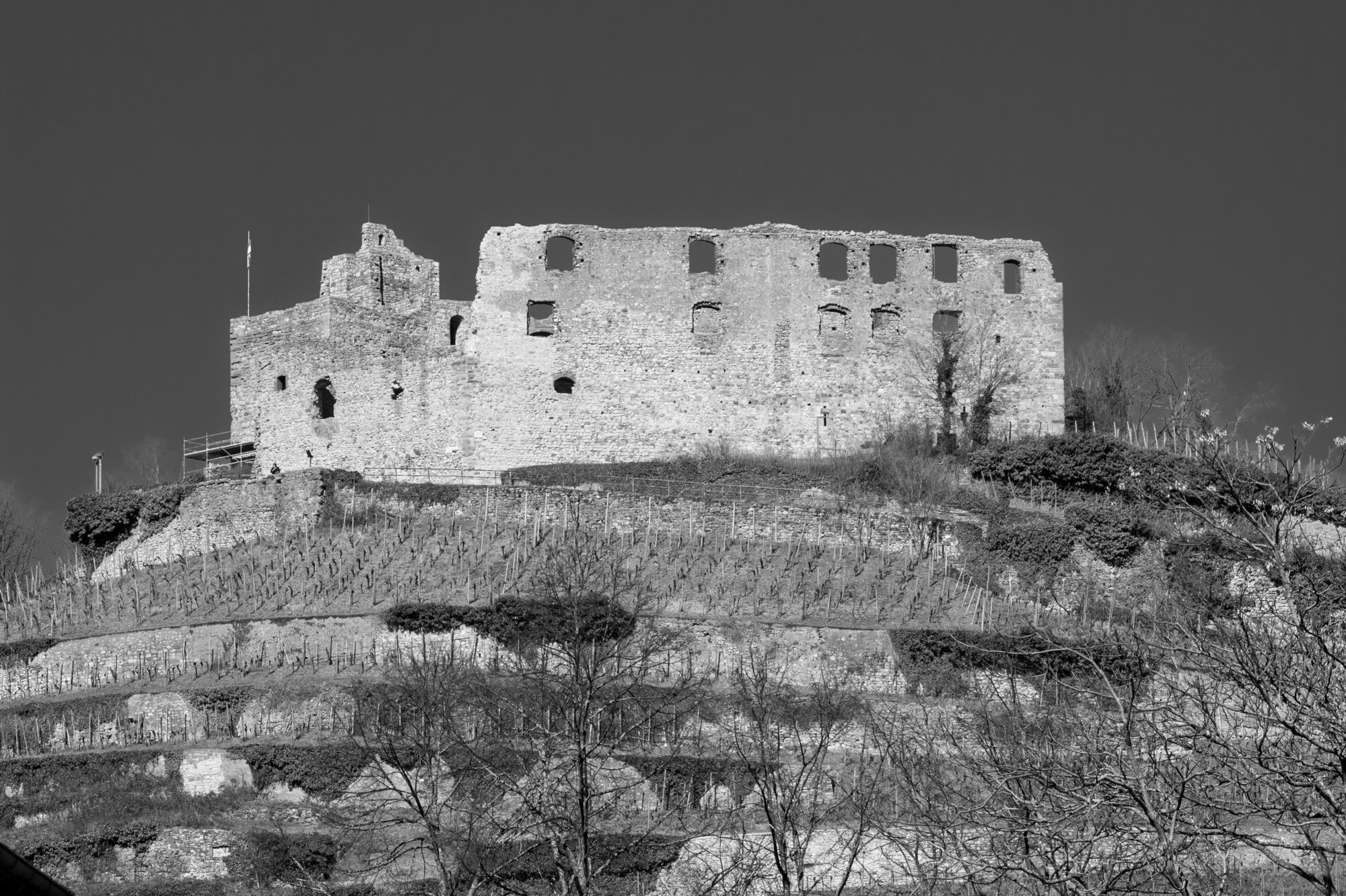 P1065483 