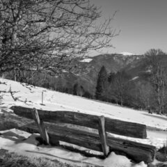 2025-03-03_Schauinsland