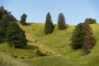 P1152609_edit