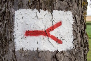 20130731_rusenschloss_018