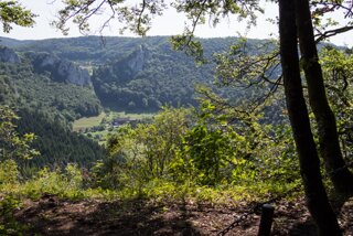 20130805_donautal_009