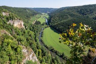 20130805_donautal_015