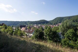 20130812_blaubeuren_010