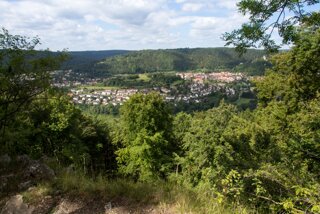20130812_blaubeuren_023
