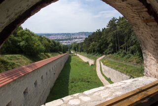 20130818_wilhelmsburg_039