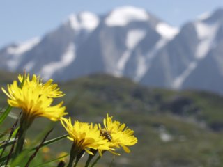 suedtirol44
