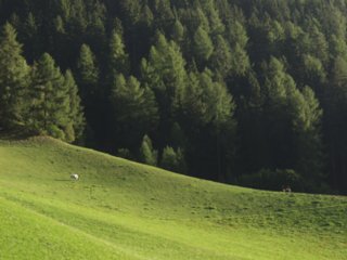 suedtirol66