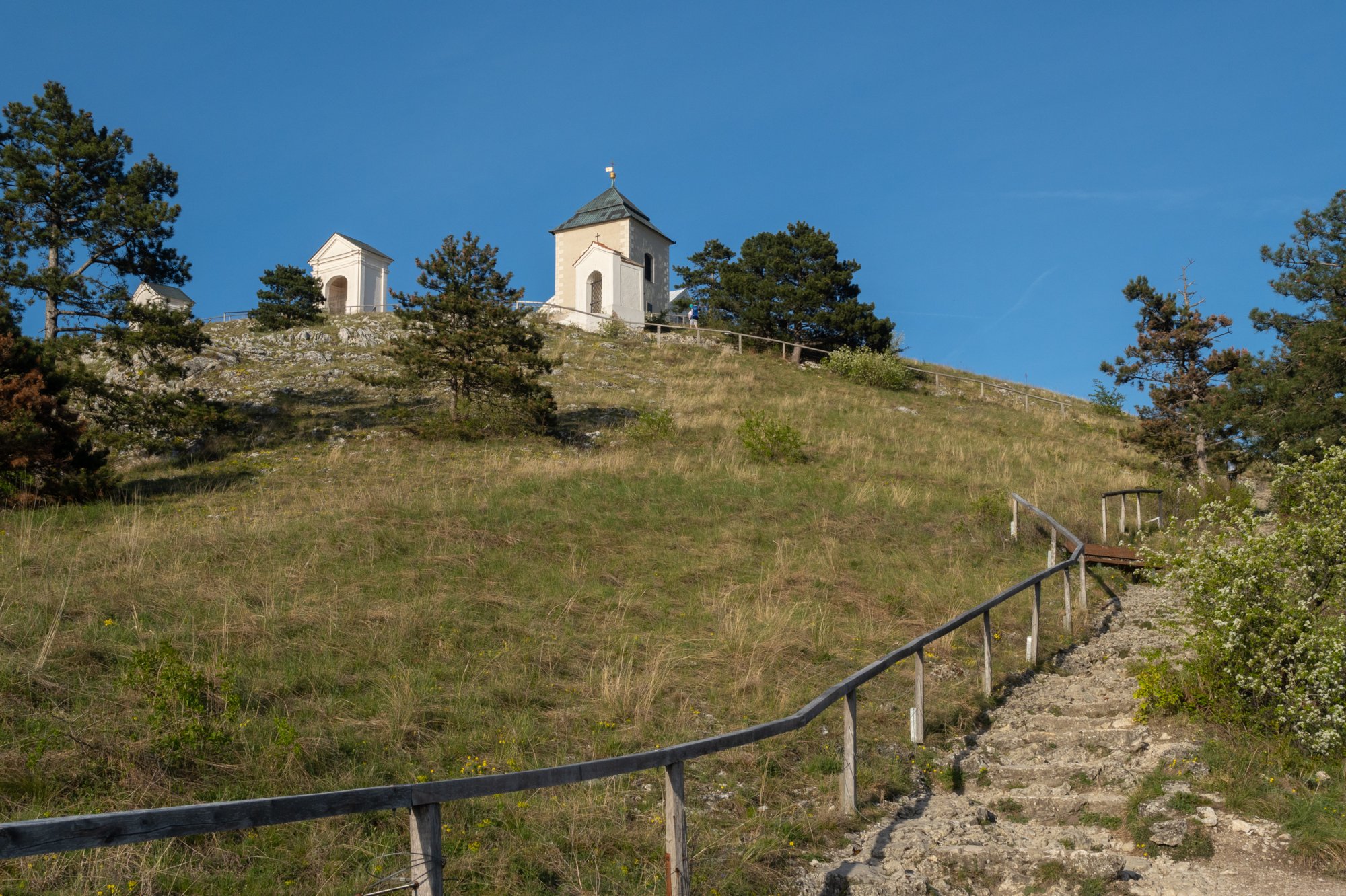 20240405_maehren_221 