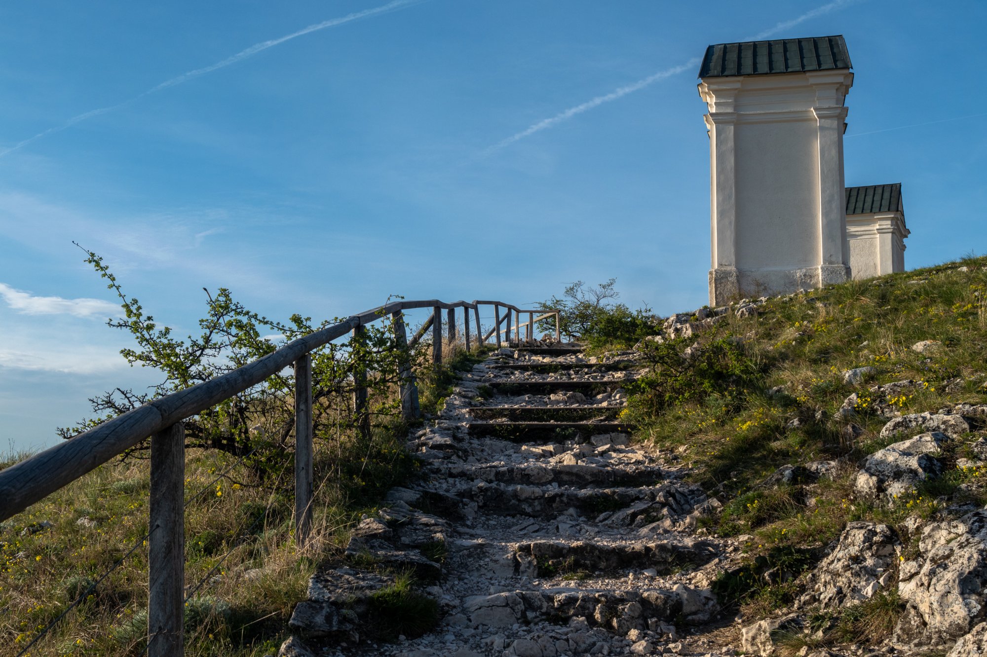 20240405_maehren_224 