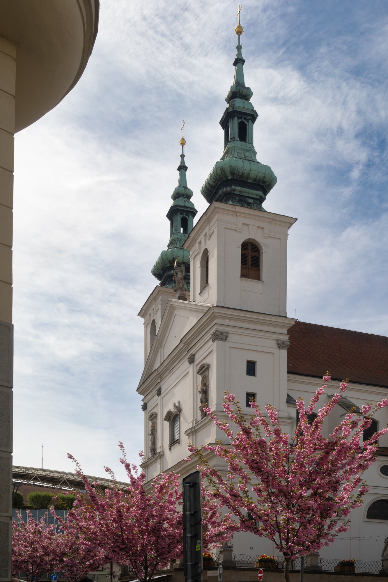 20240408_maehren_639 
