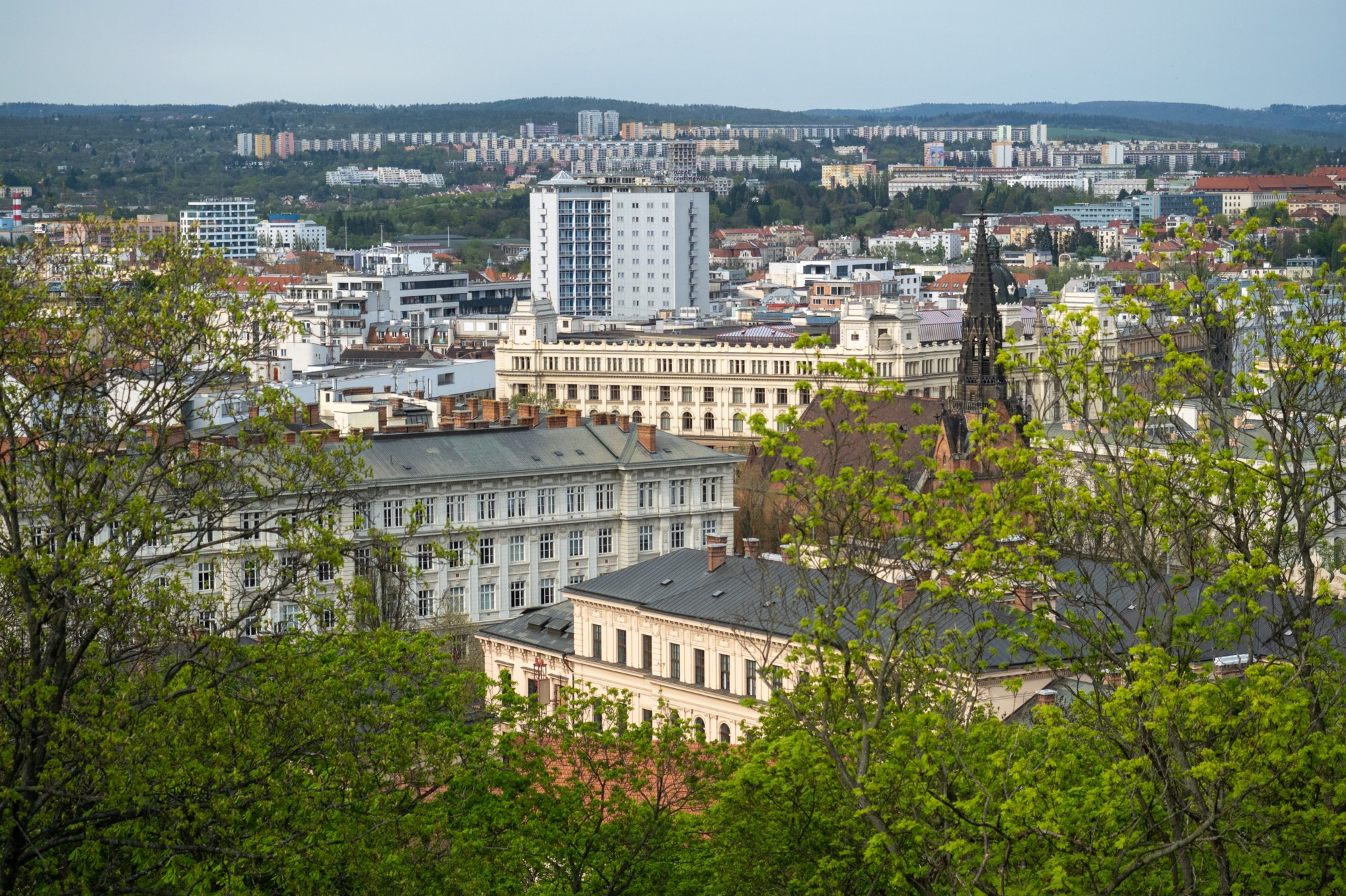 20240408_maehren_711 