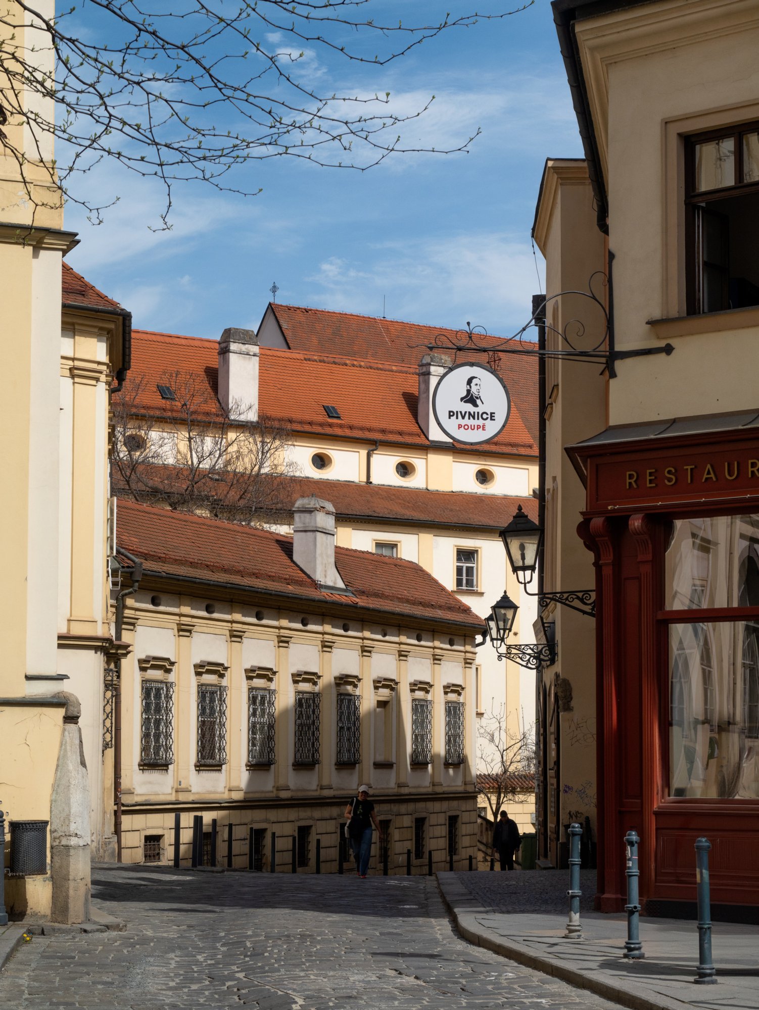 20240408_maehren_788_edit 