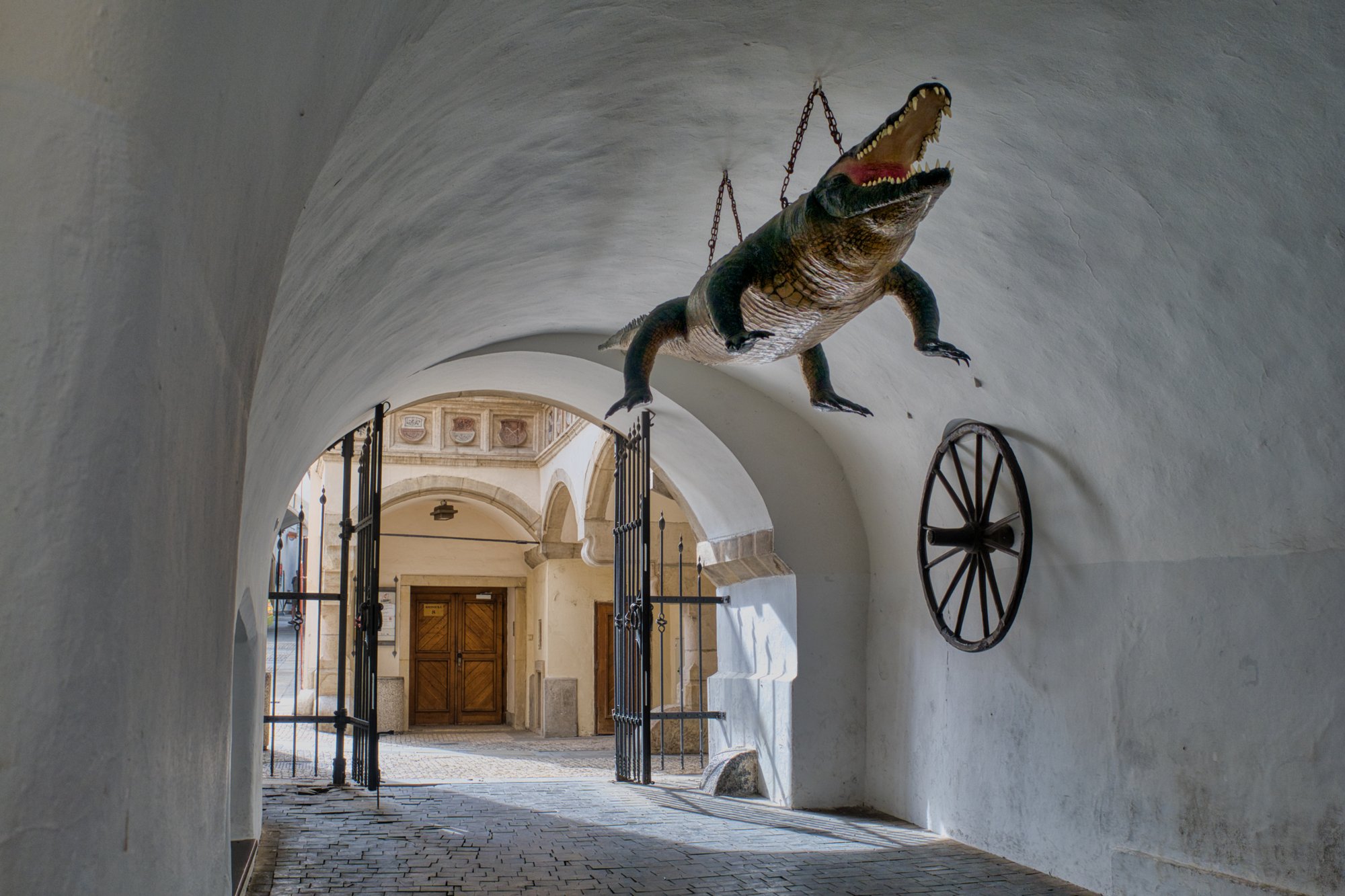 20240408_maehren_806_LuminarNeo-edit 