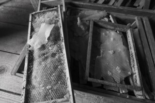 20250611_sudetenvorlandmuseum_086