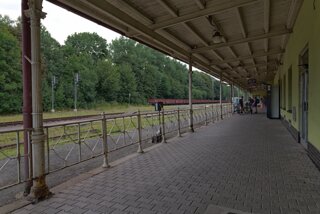 P1174431