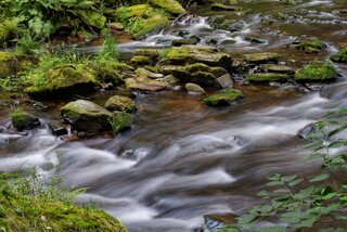 P1174455