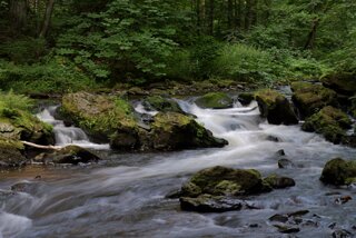 P1174466
