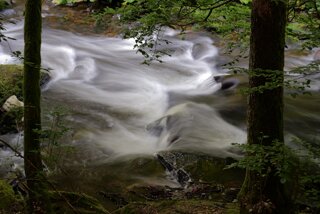 P1174501