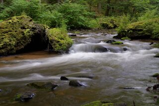 P1174514