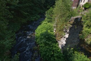 P1174565