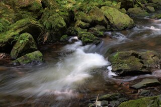P1174575