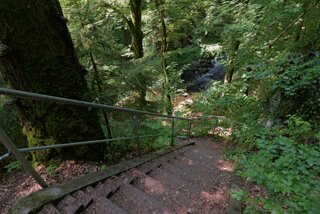 P1174582