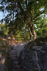 P1174754