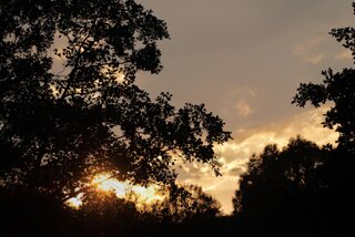 P1175054
