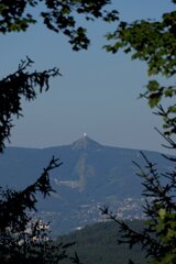 P1175074