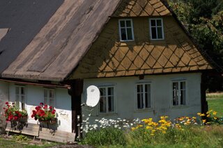 P1175197