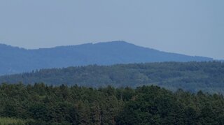 P1185393_lab (1)