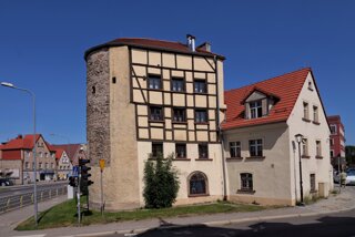 P1185581