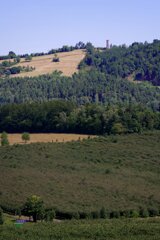 P1185997