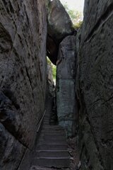 P1186102