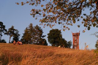 P1196267