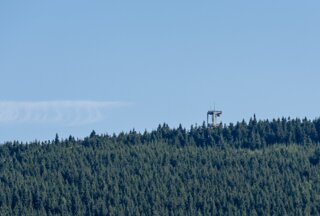 P1196360