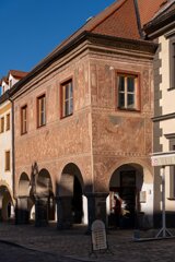 P1196655