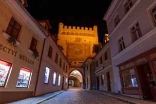 P1196683
