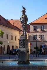 P1196702